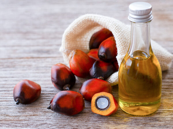 Crude Palm Oil (CPO)