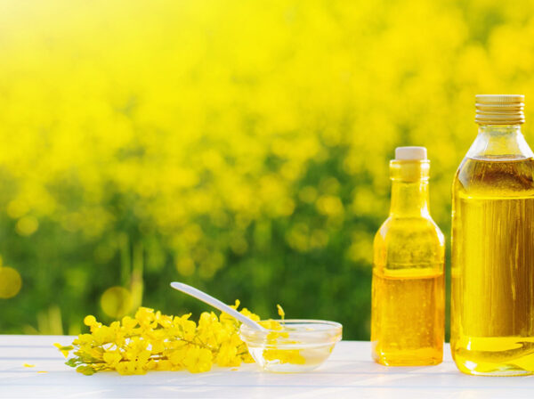 Rapeseed Oil